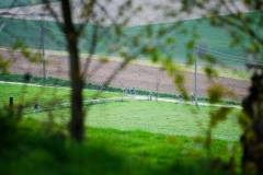 Fotospecial-034