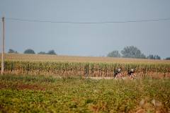 20210918-WeRideFlanders-800x450-MatsPalinckx-11